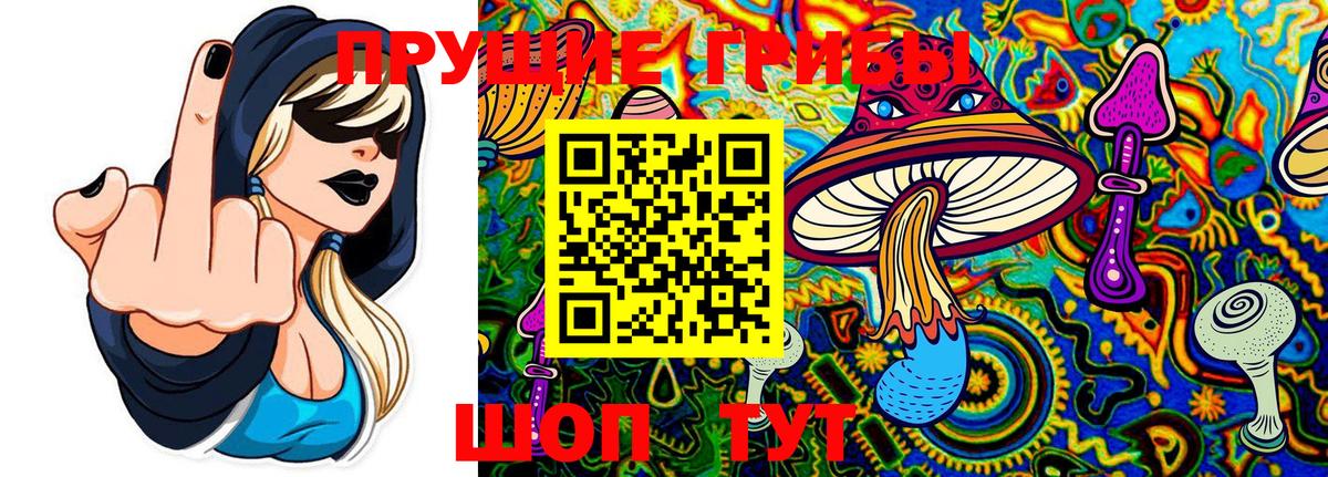 Тихвин  Галлюциногенные грибы прущие грибы  Вход с VPN 
